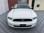 Thumbnail Photo 6 for 2013 Ford Mustang